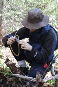 Graham Ansell discovering the miniature world inside a log on East Branch Trail, Fundy National Park, NB.