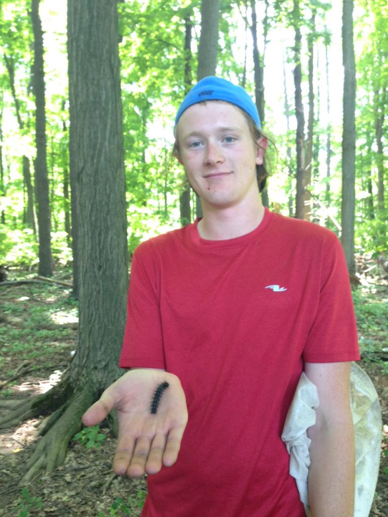 This is a photo of me holding a gypsy moth caterpillar. This photo was taken at the forest site at rare Charitable Research Reserve. 