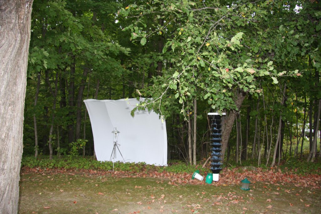 Mecury Vapour Light Trap and Lindgren Funnels on display