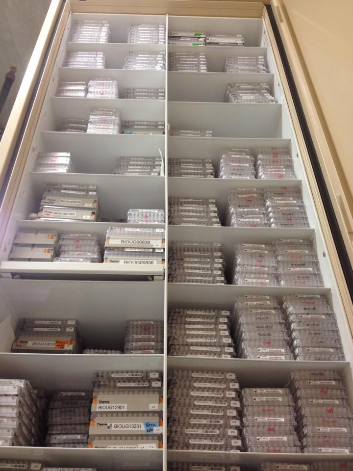 Microplates and matrix boxes stacked in the archives
