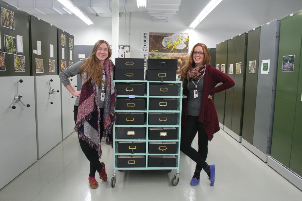 No rolling stones, we can’t seem to stop gathering moss! Liz and Jesse pose with the boxes of specimens