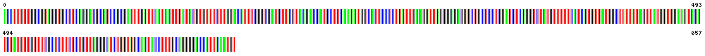 Visual representation of DNA barcode sequence for amphipod