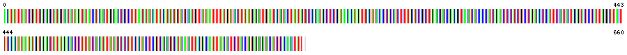 Visual representation of DNA barcode sequence for opalescent inshore squid