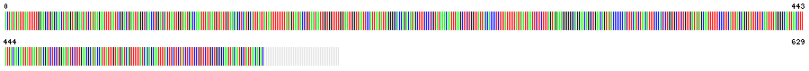 Visual representation of DNA barcode sequence for Ixodes scapularis