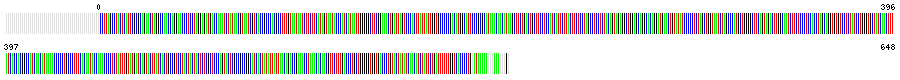 Visual representation of DNA barcode sequence for Arctic Tern