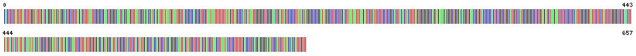 Visual representation of DNA barcode sequence for Daphnia pulex