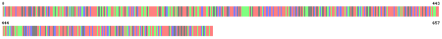 Visual representation of DNA barcode sequence for Feather Star