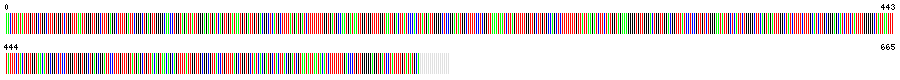 Visual representation of DNA barcode sequence for Mapleaf mussel