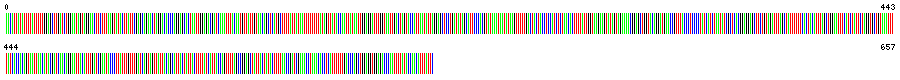 Visual representation of DNA barcode sequence for Bot Fly