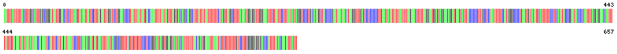 Visual representation of DNA barcode sequence for Myrmica quebecensis