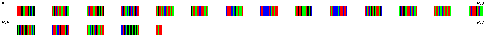 Visual representation of DNA barcode sequence for Question Mark butterfly