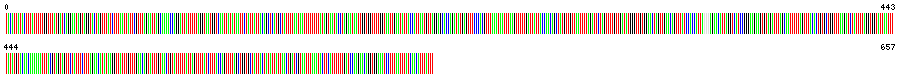 Visual representation of DNA barcode sequence for Nematode