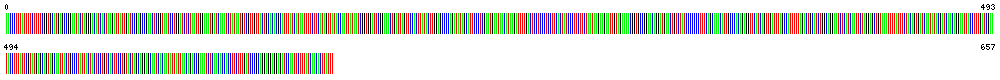 Visual representation of DNA barcode sequence for Eyed click beetle
