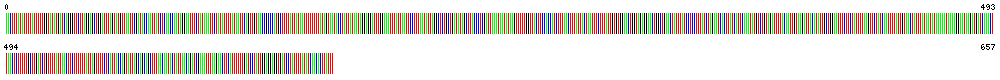Visual representation of DNA barcode sequence for Scabies mite