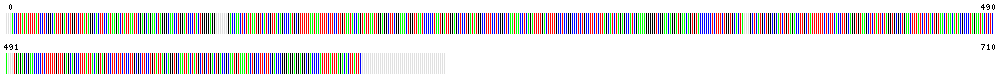 Visual representation of DNA barcode sequence for Peanut worm