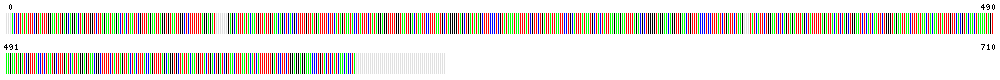 Visual representation of DNA barcode sequence for Rotifer